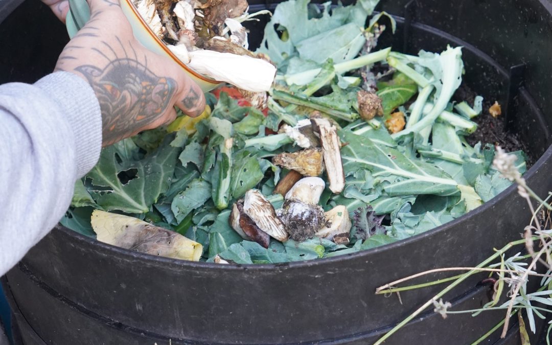 DIY compost bin at home