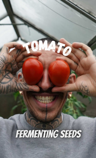Alessandro Vitale aka Spicy Moustache holding two red ripe tomatoes / Tomato fermenting seeds IG reel link