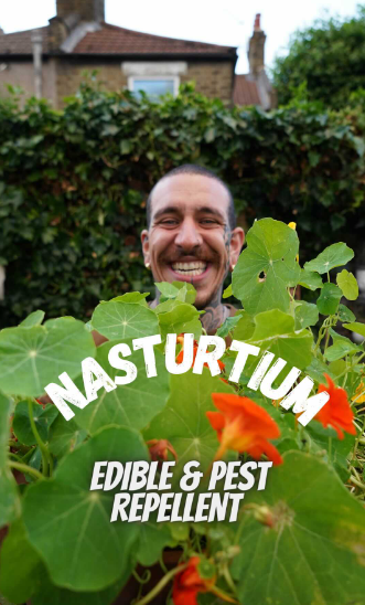 Alessandro Vitale aka Spicy Moustache holding a nasturtium plant in his garden