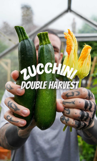 Alessandro Vitale aka Spicy Moustache holding zucchini and its male and female flowers