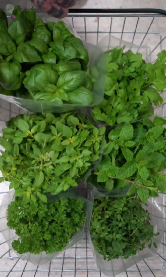 Store-brought herbs