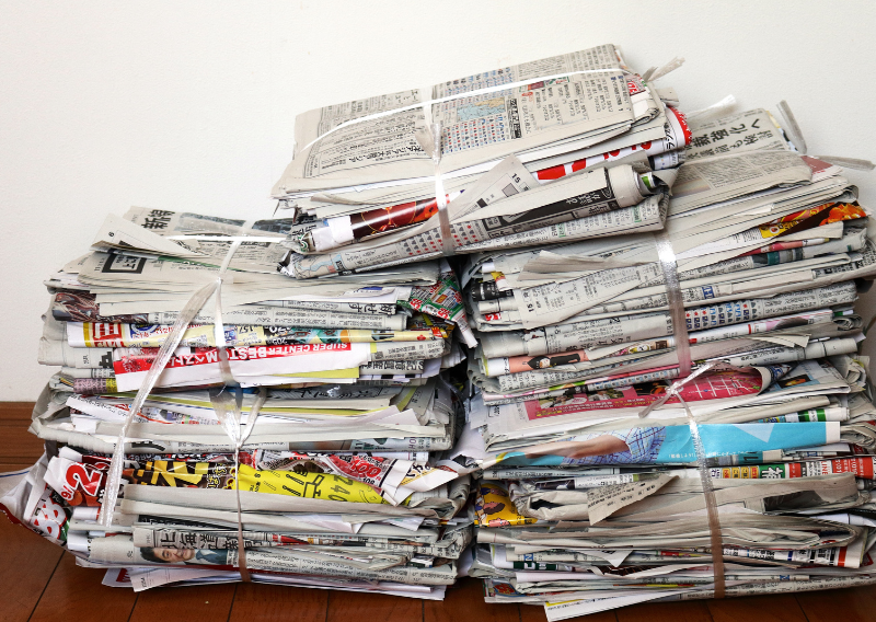 Give It New Life: DIY Recycled Paper From Junk Mail & Cardboard (Easy & Fun!)