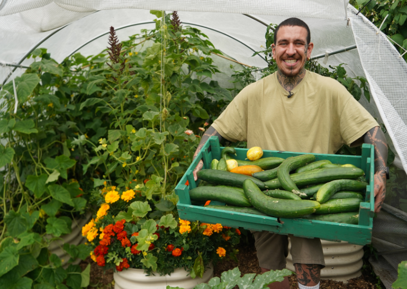 Master Your Garden: 4 Simple Steps to Success (Even for Newbies!)
