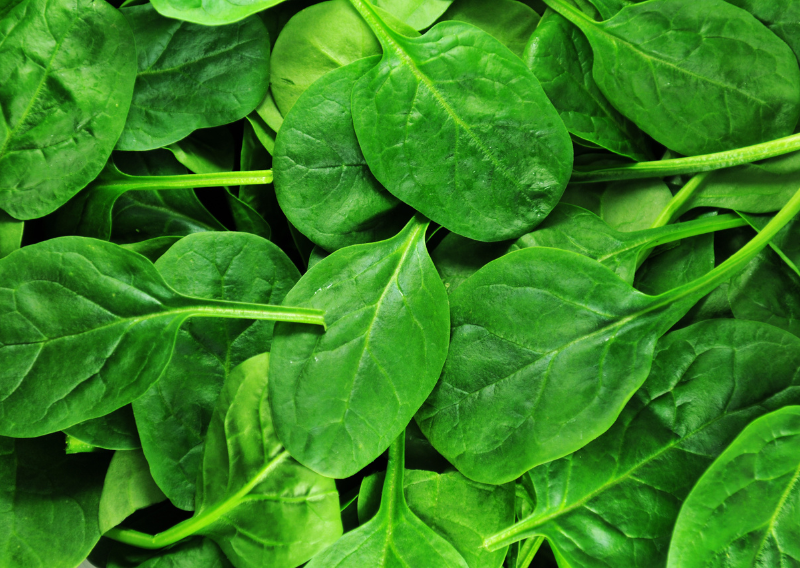 Homemade Spinach Tofu Pie Recipe: Easy Steps for Delicious Results