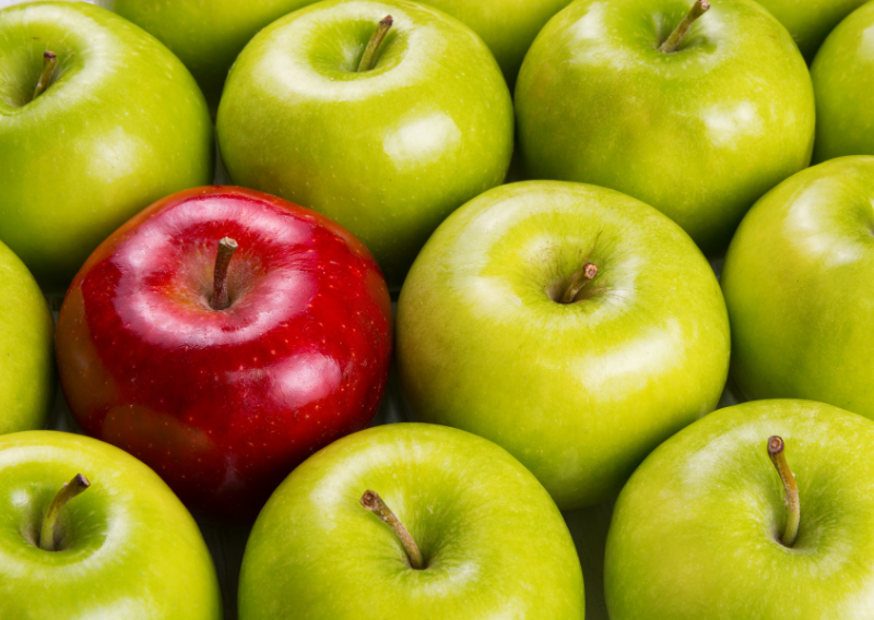 Zero Waste Apple: How to Use Every Part of This Amazing Fruit