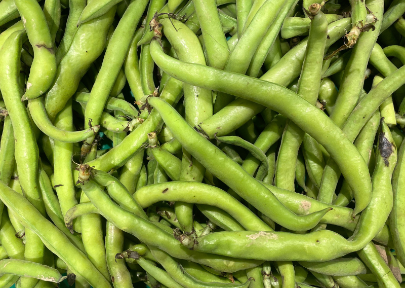 Discover the Magic of Broad Beans Tofu: A Nutritious Delight for Your Kitchen