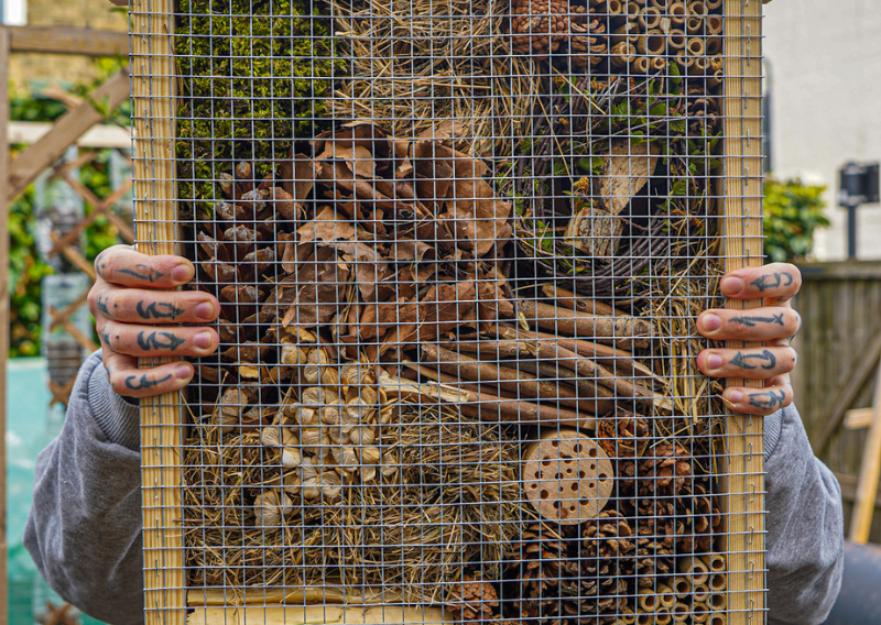 An Easy Step-by-Step Guide To Building DIY Bug Hotel At Home