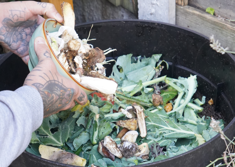 How To Start Composting: Turning Waste into Black Gold