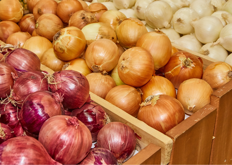 Grow Your Own Delicious and Nutritious Onions: Easy Steps for Beginners