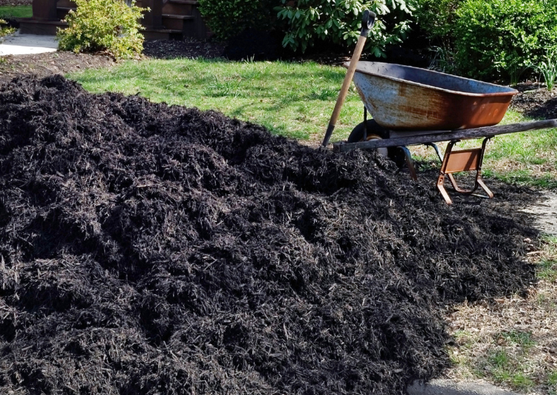 How To Do Mulching: The Secret Weapon for a Lush and Healthy Garden