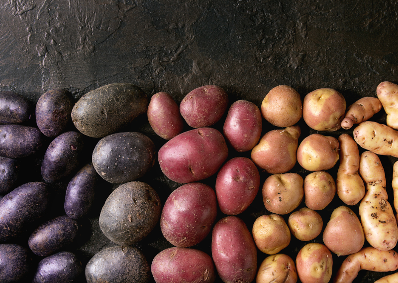 Simple Potato Recipes from 1960: Easy and Classic Dishes to Try