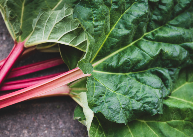 How To Make Rhubarb Tart and Fertilizer At Home: Simple and Easy