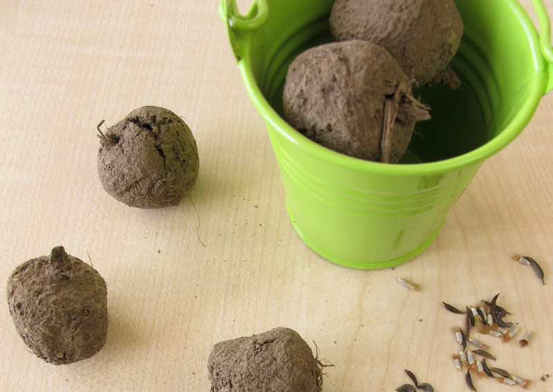 Seed Bombs: The Fun and Easy Way to Plant Flowers Anywhere!