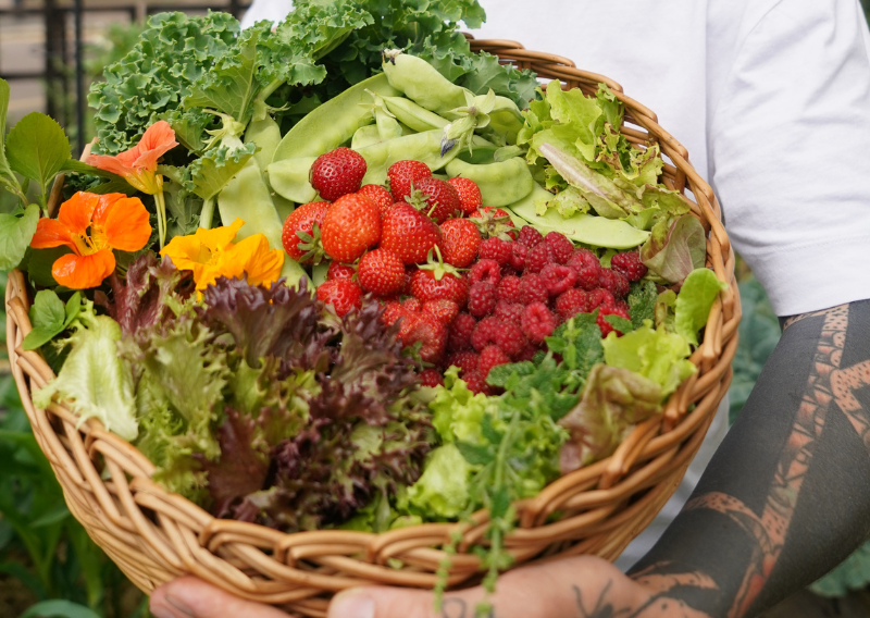 Small Space Garden: 3 Easy Tips to Grow Your Own Food