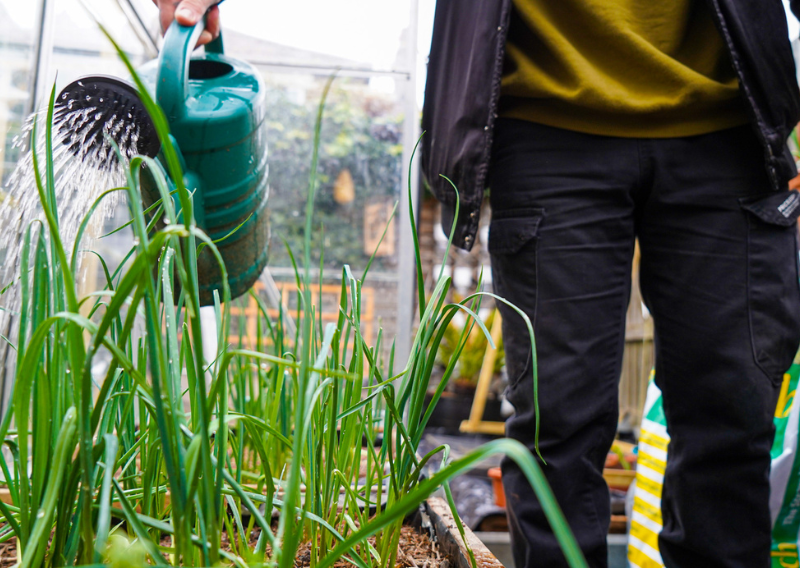 Boost Your Garden: 3 Powerful Soil Boosters You Can Make at Home