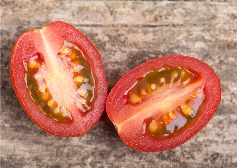 Unlocking the Secrets: How Tomato Seeds Transform into Delicious Plants