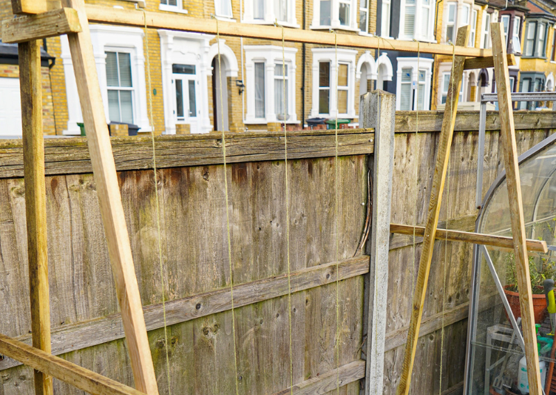 Journey to the Perfect Tomato Trellis: An Easy DIY Project