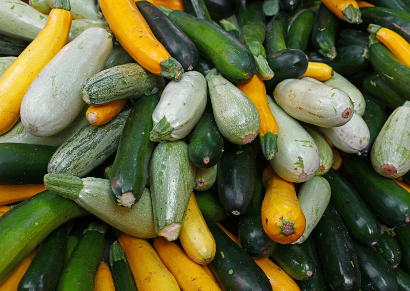 Maximize Your Harvest: How to Grow Zucchini Vertically (Perfect for Small Spaces!)