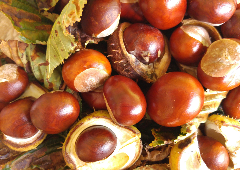 DIY Sustainable Laundry Detergent: Simple Steps for Eco-Friendly Cleaning