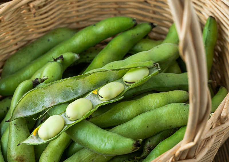How to Cook Fava Beans Without Waste: A Delicious Recipe