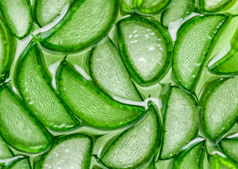 Make Your Own Aloe Vera Soap: A Sustainable Solution for Skin Care