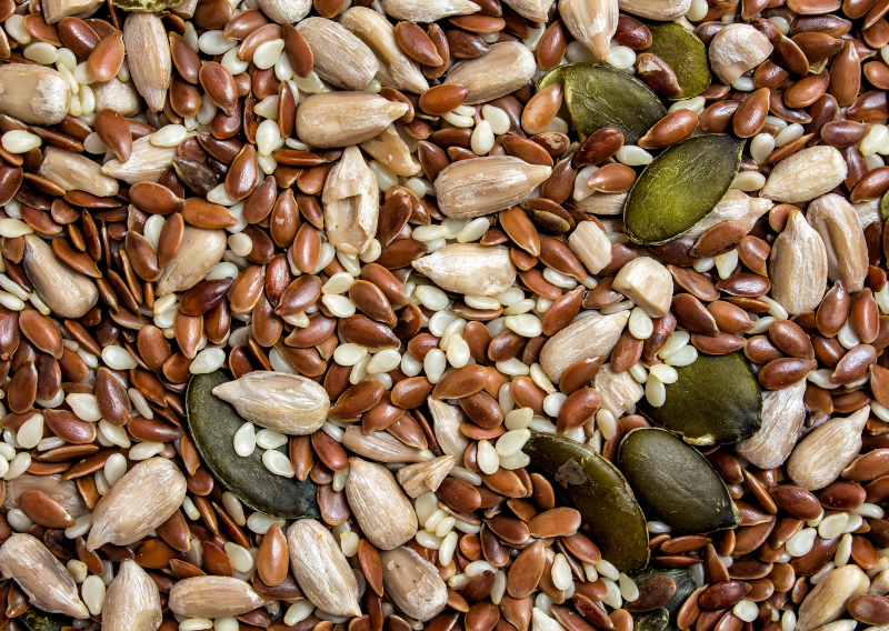 How To Start a Garden from Seeds: Your Guide to Growing from Scratch
