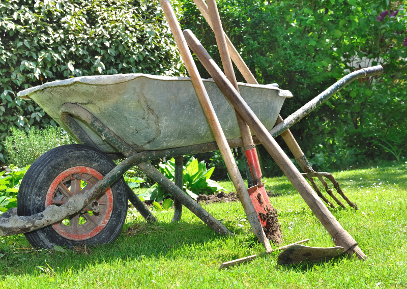 Choosing the Right Garden Tools: A Complete Guide for Every Gardener