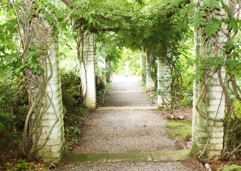 Natural Shade Solutions: Your Ultimate Guide to Cooling Down the Eco-Friendly Way