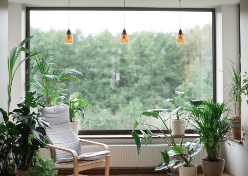 What Are The Everyday Life Changes for a More Sustainable Lifestyle