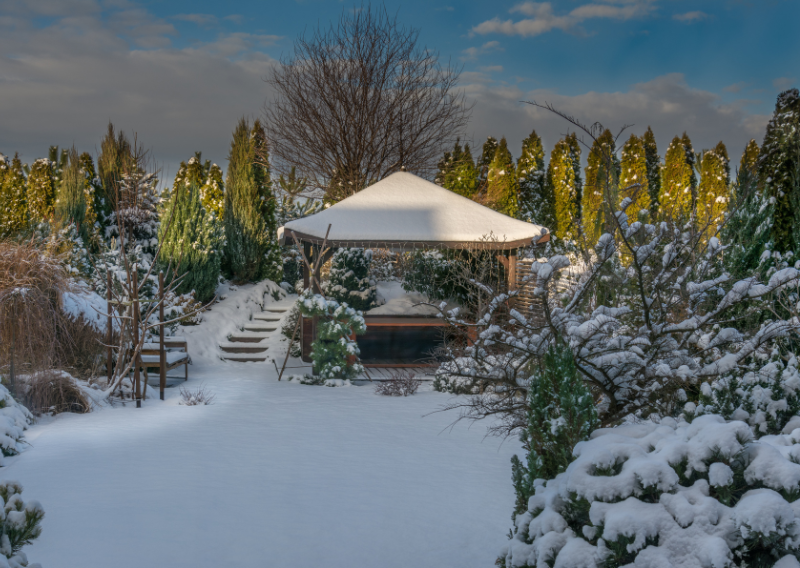 Winter Gardening Indoors: Simple Guide On How To Keep Your Plants Thriving