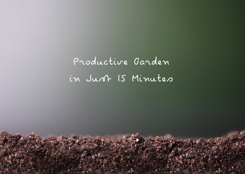 How to Create a Productive Garden in Just 15 Minutes a Day