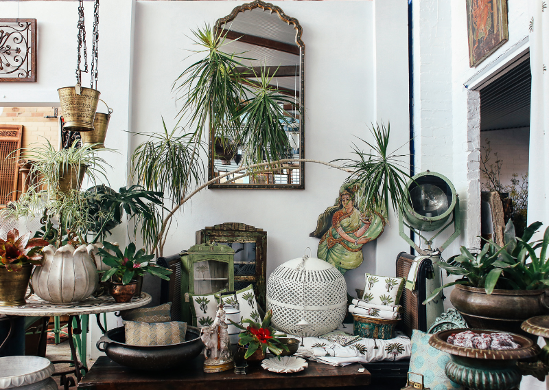 How to Prepare Your Plants Before Going on Vacation: Essential Care Tips