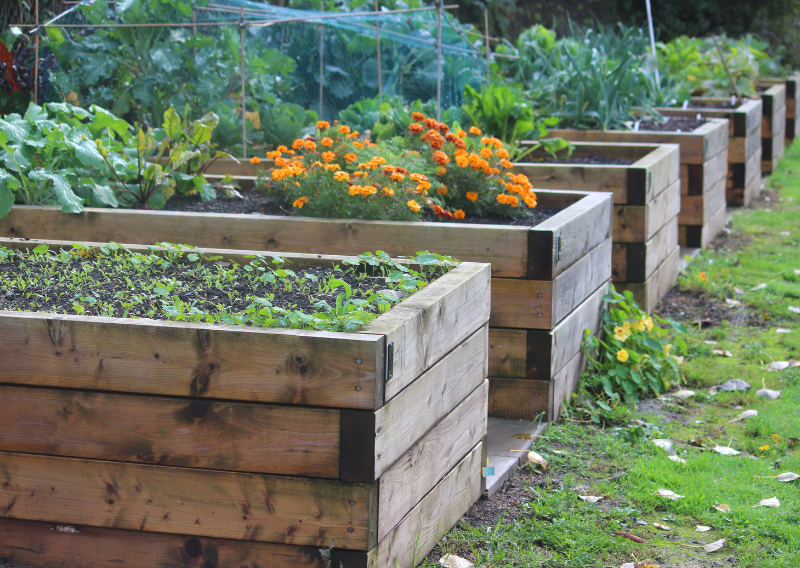 How To Design Your Raised Bed Permaculture: A Sustainable Approach to Gardening
