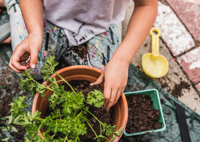 Gardening with Kids: Simple and Fun Projects You Can Do At Home