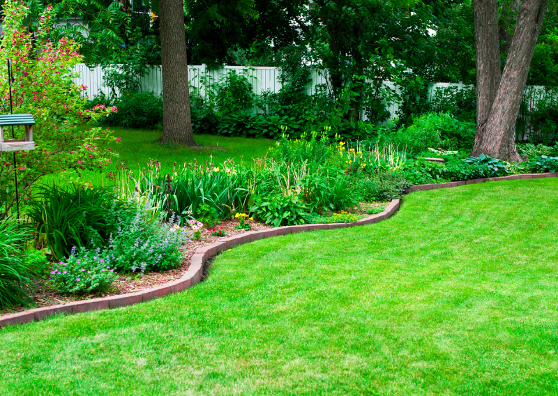 Natural Lawn Care: How To, Eco-Friendly Tips for a Healthy, Green Yard