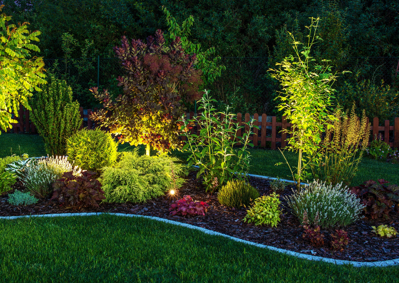 How to Create a Moon Garden for Evening Relaxation and Enjoyment