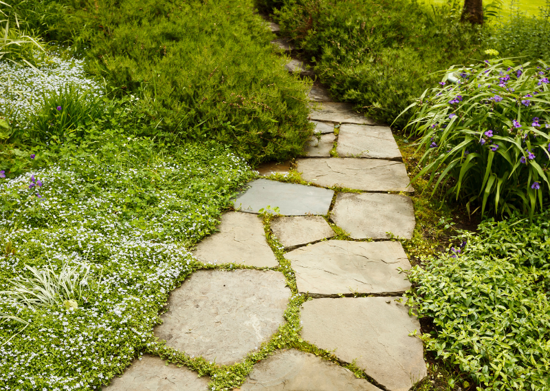How to Build a Natural Stone Garden Path: A Step-by-Step Guide
