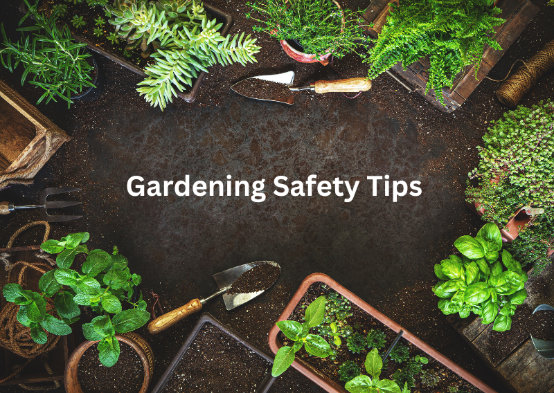 Gardening Safety Tips: An Easy Guide to Safe and Fun Gardening