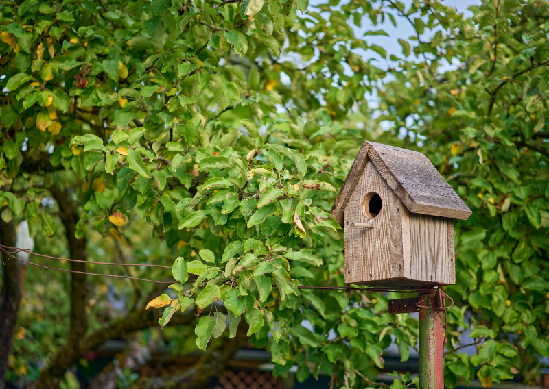How to Create a Wildlife Shelter in Your Garden: A Step-by-Step Guide