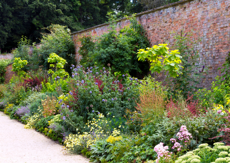 Garden Borders Ideas: Fun, Creative, and Easy DIY Tips for Every Garden Style